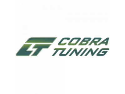 Дефлектора окон Smart Forfour II 2015 деф.окон "CT"